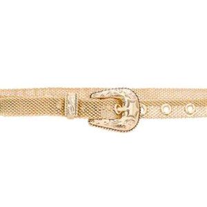 B-Low The Belt Baby Frank Mesh Belt (gold) (S) (NWT)